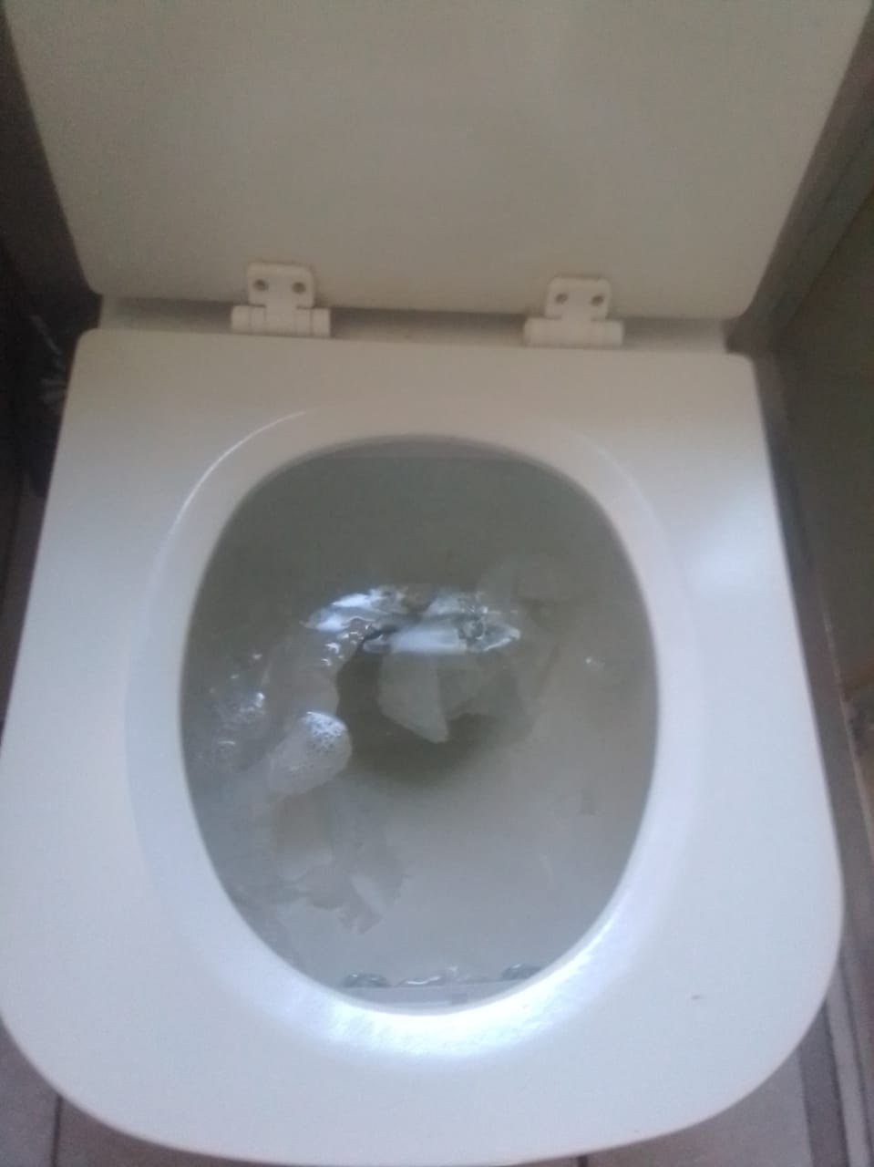 Blocked toilet clearing image showing standing water inside a toilet bowl during blockage diagnosis by Plumb A Nator.