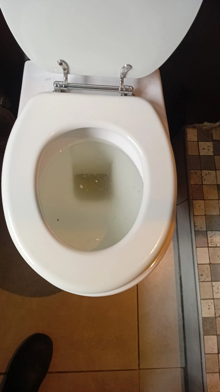 Toilet with repeat standing-water symptoms after another blockage event.