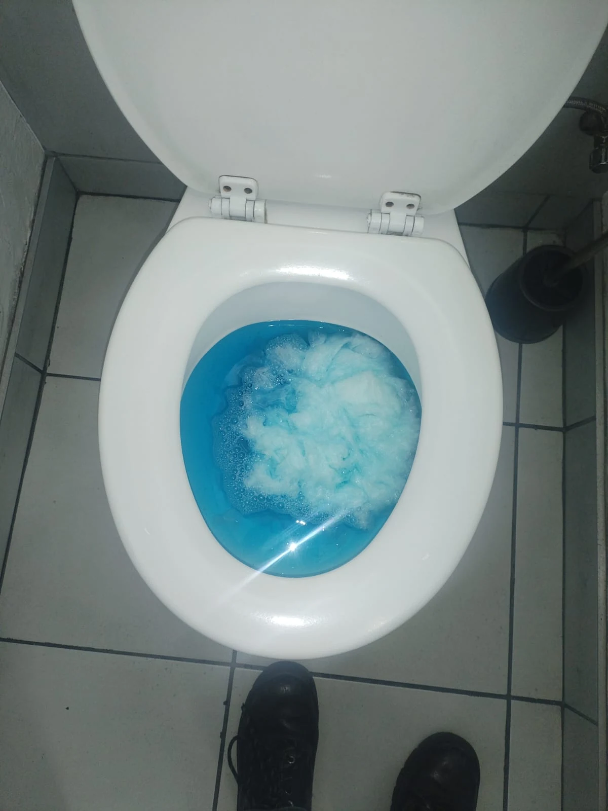 Single blocked toilet with blue water holding in the pan before clearing.