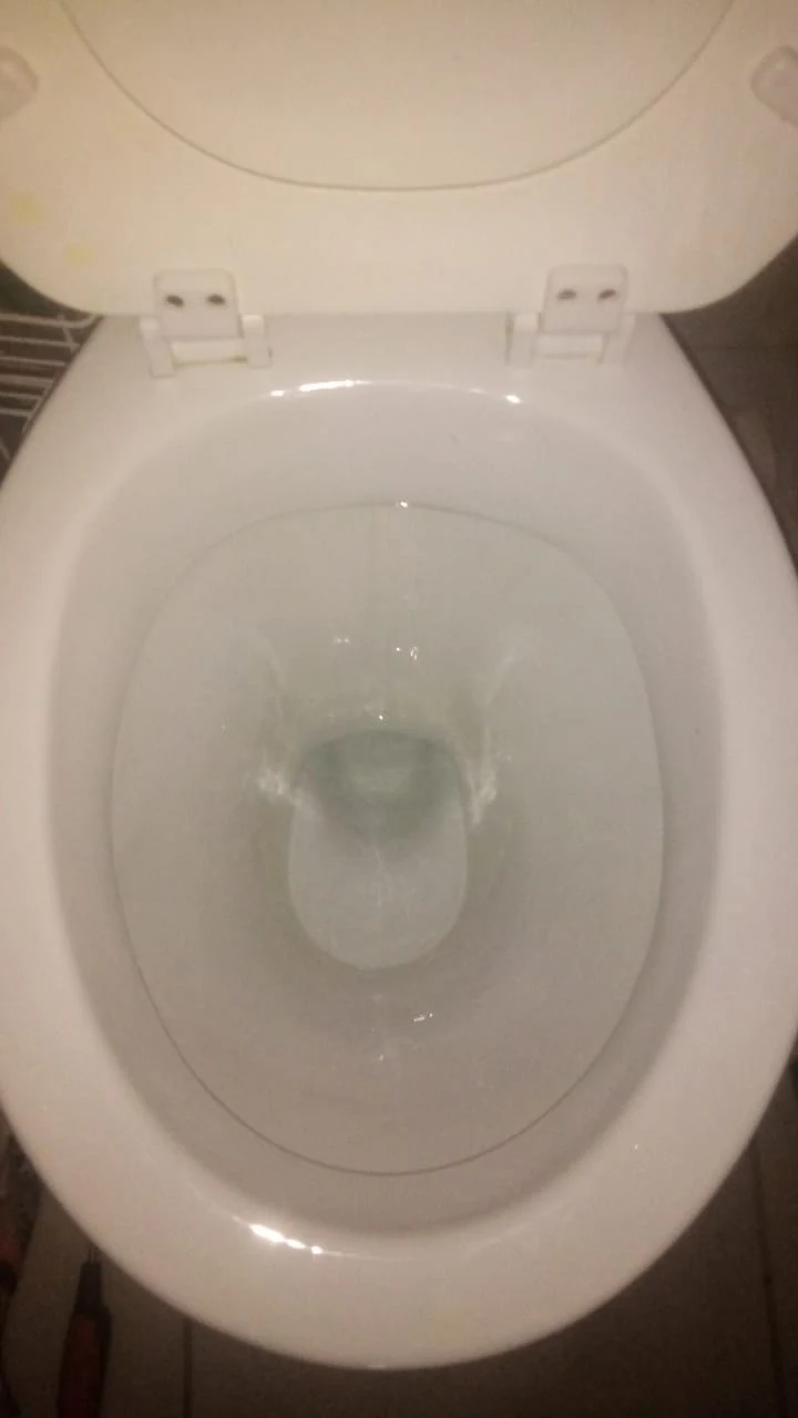 Toilet bowl holding water during a foreign object toilet blockage assessment.