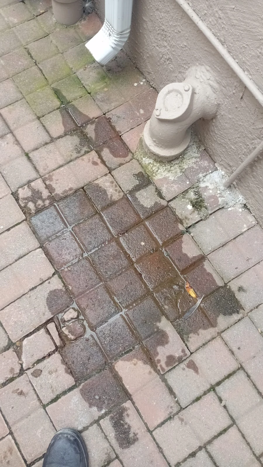 Underground burst pipe water surfacing across paving near an outside pipe route.