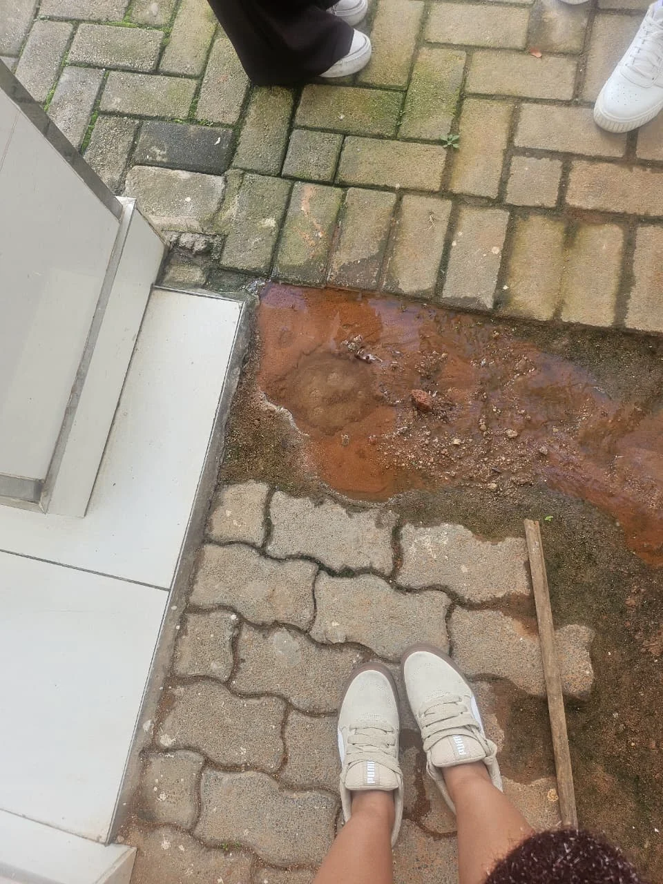 Leak detection clue showing water surfacing through paving near a building from a suspected hidden underground leak.