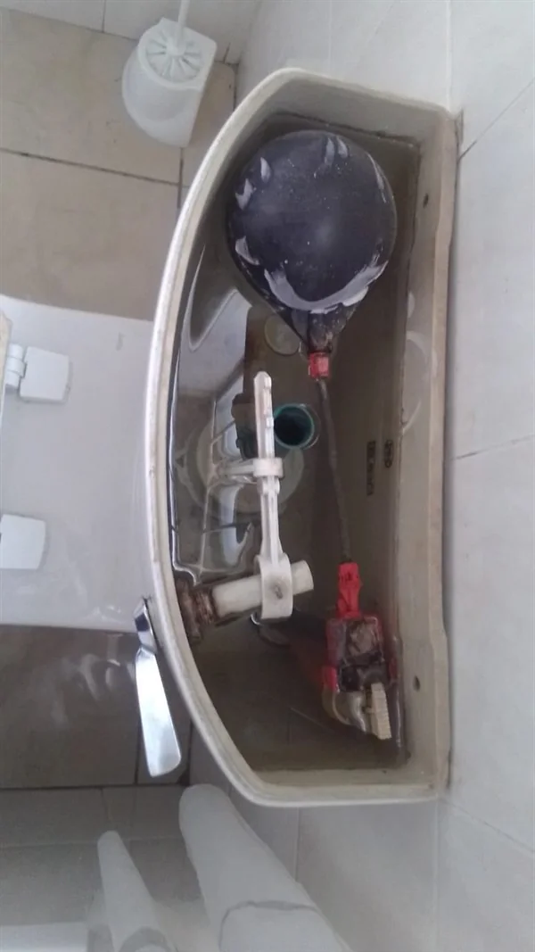 Toilet Repairs plumbing service image for Plumb A Nator.